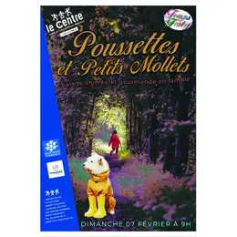 Poussettes et Petits mollets