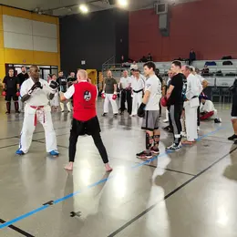 Stage Pieds-Poings avec Dominique Valera & Freddy Lepine - 2e édition