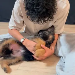 Puppy Yoga Bordeaux