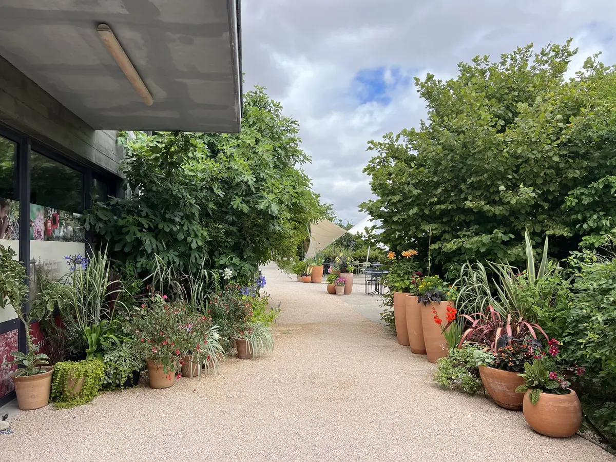 Vente d’arbres et de plans fruitiers
