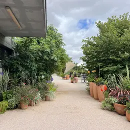 Vente d’arbres et de plans fruitiers