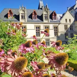 Le Marais, sur les traces du Paris médiéval