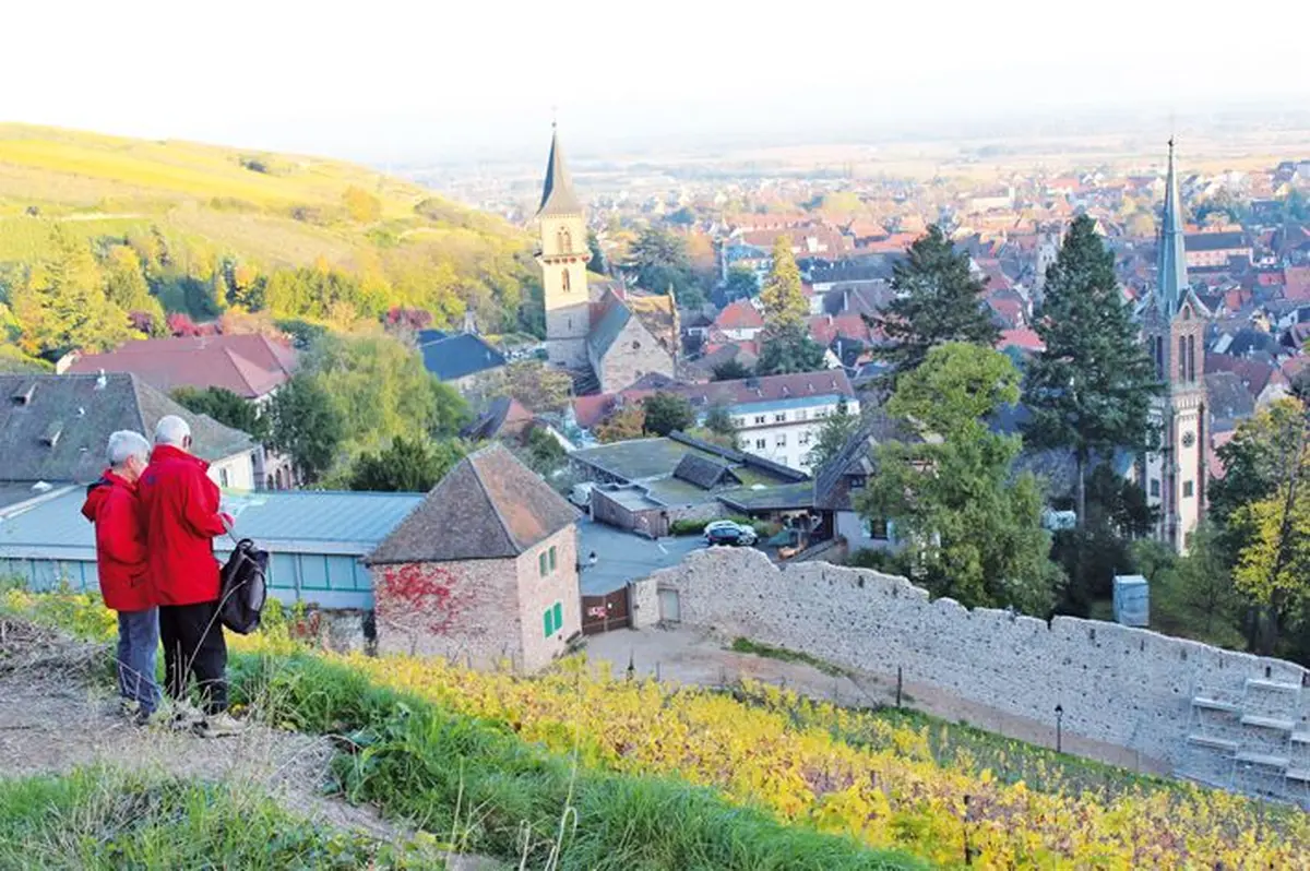 Sur les hauteurs de Ribeauvillé