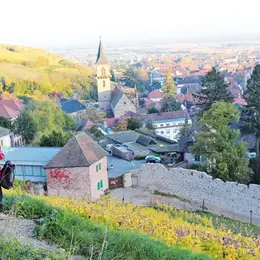 1 Ville, 10 Idées : Ribeauvillé