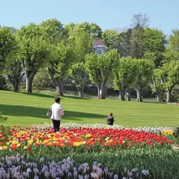 1 ville, 10 idées : Mulhouse
