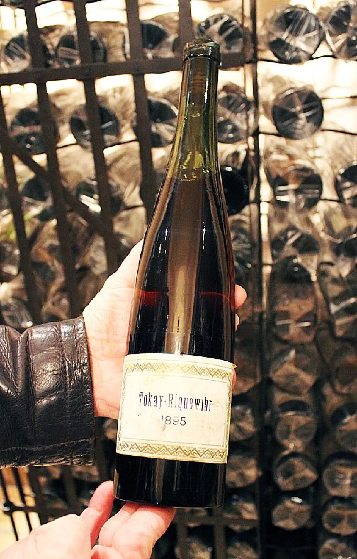 Le plus vieux Tokay d'Alsace !