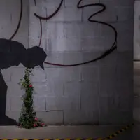 10 expositions incontournables à voir à Paris en août 2026 &copy; The World of Banksy