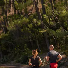 10 km d'Arcachon