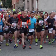 10 km entre vignes et marais