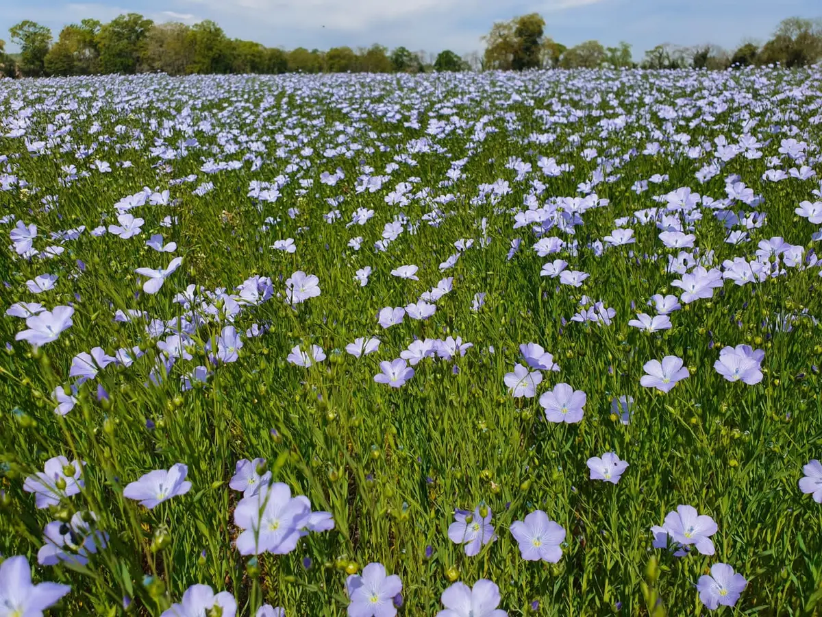 100 lieux 100 massages : Ancrage en Pyrénées