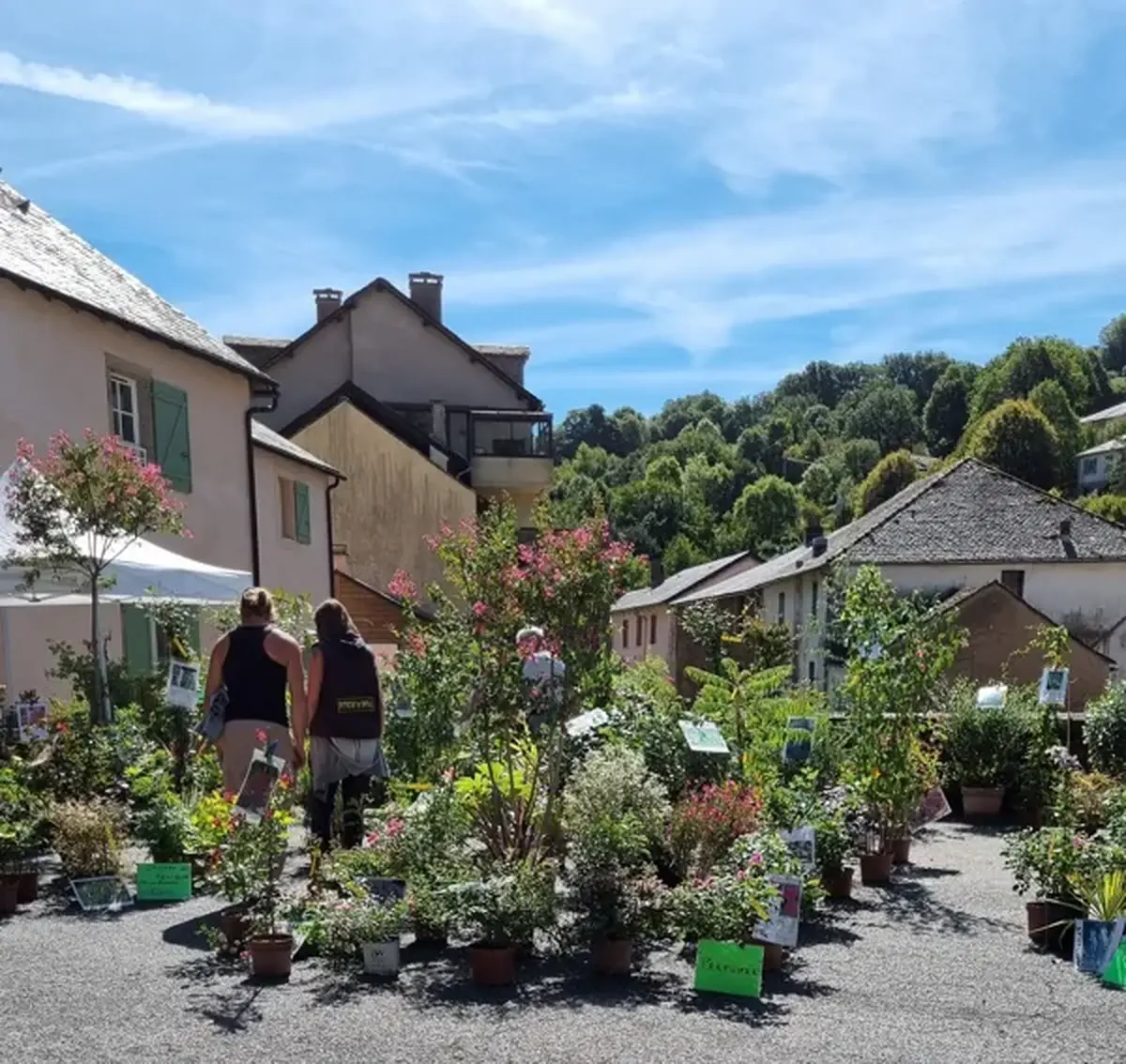 10ème Foire aux Plantes