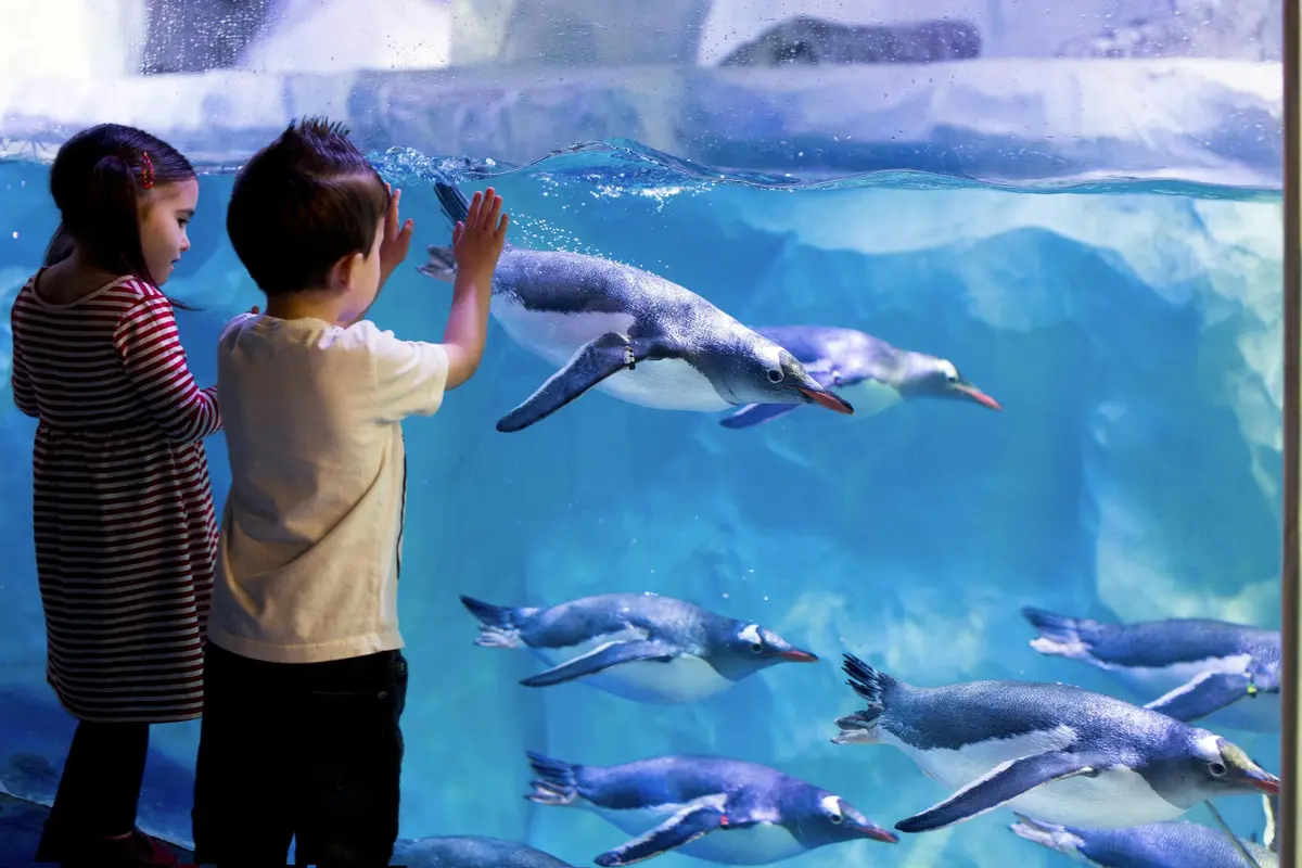 Aquarium SEA LIFE Paris