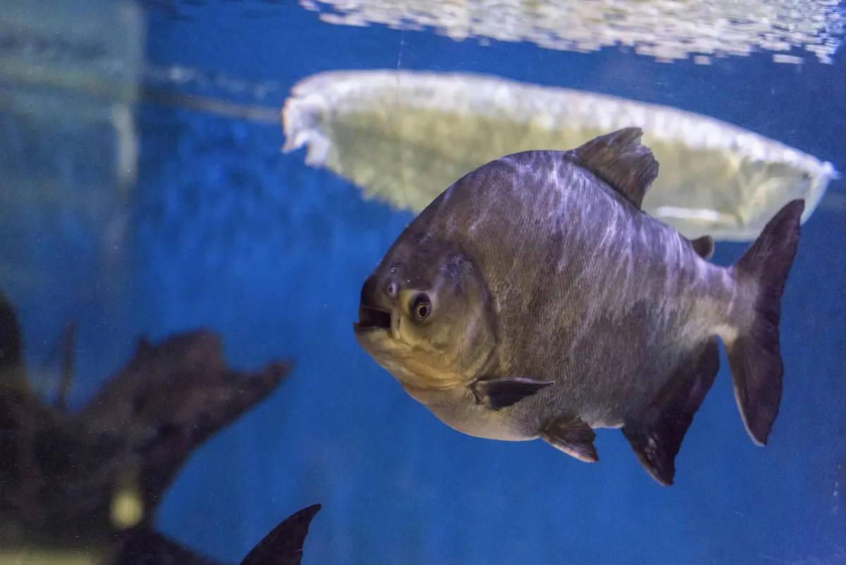 Aquarium SEA LIFE Paris