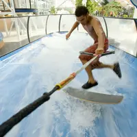 Homme surfant sur un simulateur de vagues d'intérieur en utilisant une corde pour l'équilibre, entouré de panneaux transparents et de plantes tropicales en arrière-plan. DR