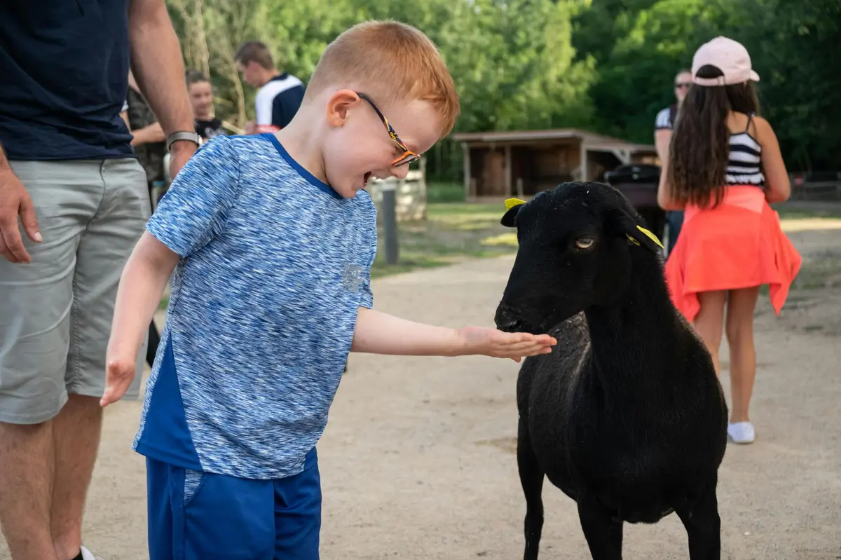 Un jeune garçon en chemise bleue et lunettes tend la main à une chèvre noire tandis qu'un adulte se tient à proximité ; d'autres personnes sont à l'arrière-plan.