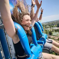 Walygator Grand Est &copy; Walygator