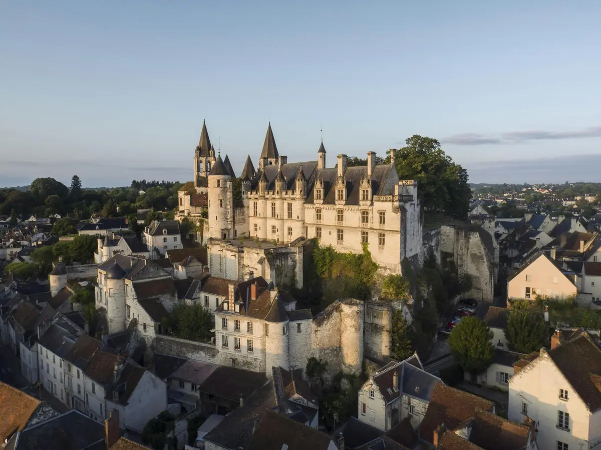 Un grand château médiéval avec de hautes flèches et des tourelles se trouve au sommet d'une colline, entouré de petites maisons et d'une végétation luxuriante.