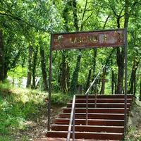Un escalier dans une forêt avec un panneau indiquant Lascaux II au sommet, entouré d'arbres et de végétation luxuriante. DR