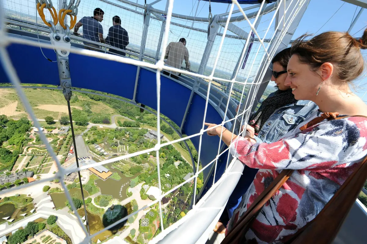 Deux personnes regardent à travers un filet depuis un point d'observation élevé, avec une vue sur la verdure en contrebas.