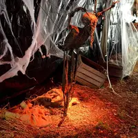 Une figure squelettique effrayante est suspendue à un tissu en lambeaux et à des toiles d'araignée sous un éclairage rouge, entourée de caisses et de toiles de jute sur un sol recouvert de paille. DR