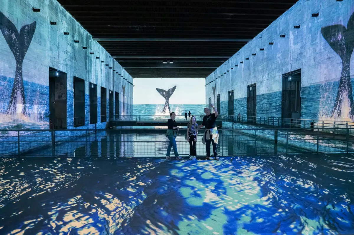 Trois personnes se tiennent dans une grande salle avec des projections numériques d'eau de mer et d'une queue de baleine.