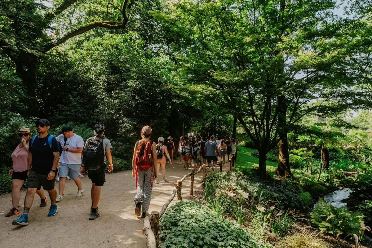 Un groupe de personnes marchant sur un chemin de terre entouré d'arbres et de végétation verdoyante dans un cadre naturel.