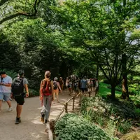 Un groupe de personnes marchant sur un chemin de terre entouré d'arbres et de végétation verdoyante dans un cadre naturel. DR