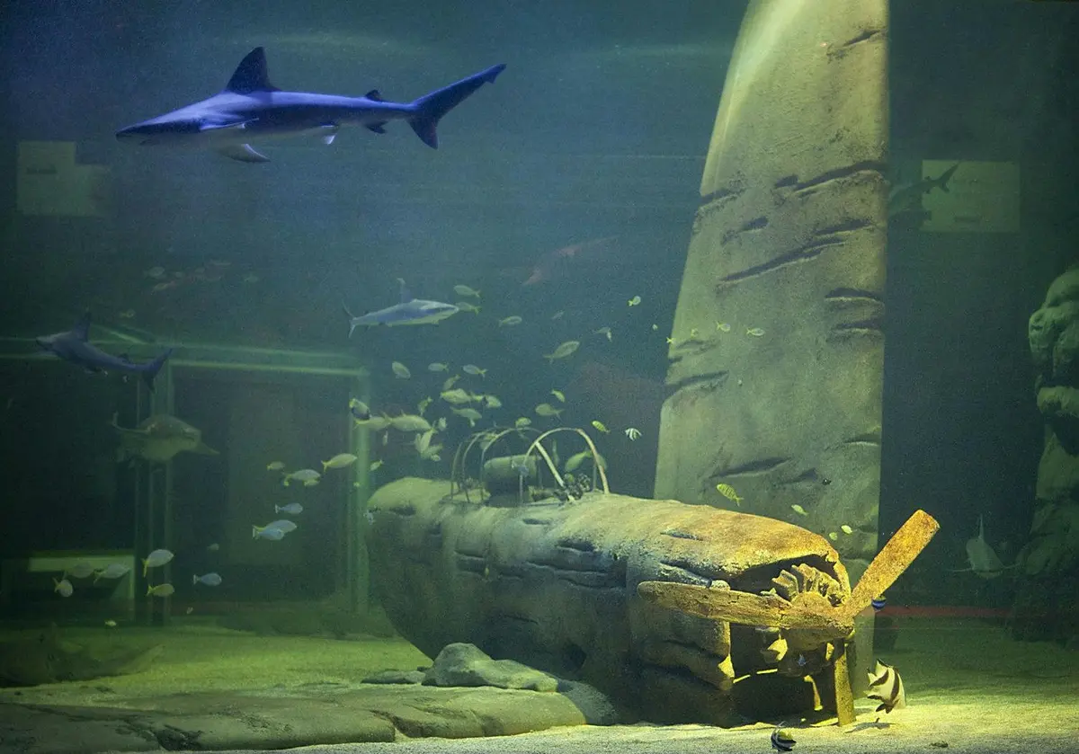 Scène sous-marine d'une épave d'avion entourée de divers poissons et d'un requin, avec une grande hélice visible.