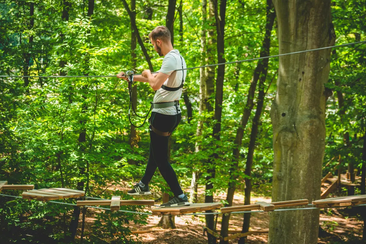 Un homme portant un harnais de sécurité marche sur un pont de corde dans une forêt avec de grands arbres feuillus.