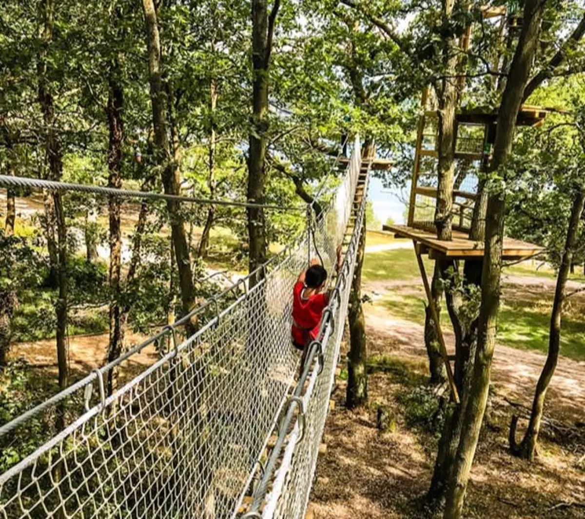 Personne en chemise rouge marchant sur un pont de corde suspendu dans une forêt avec des arbres et des plates-formes.