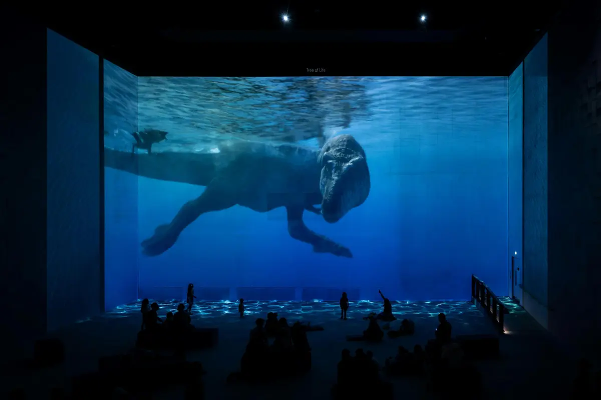 Une image projetée d'un dinosaure nageant dans un aquarium, vue par des personnes silhouettes assises sur le sol.