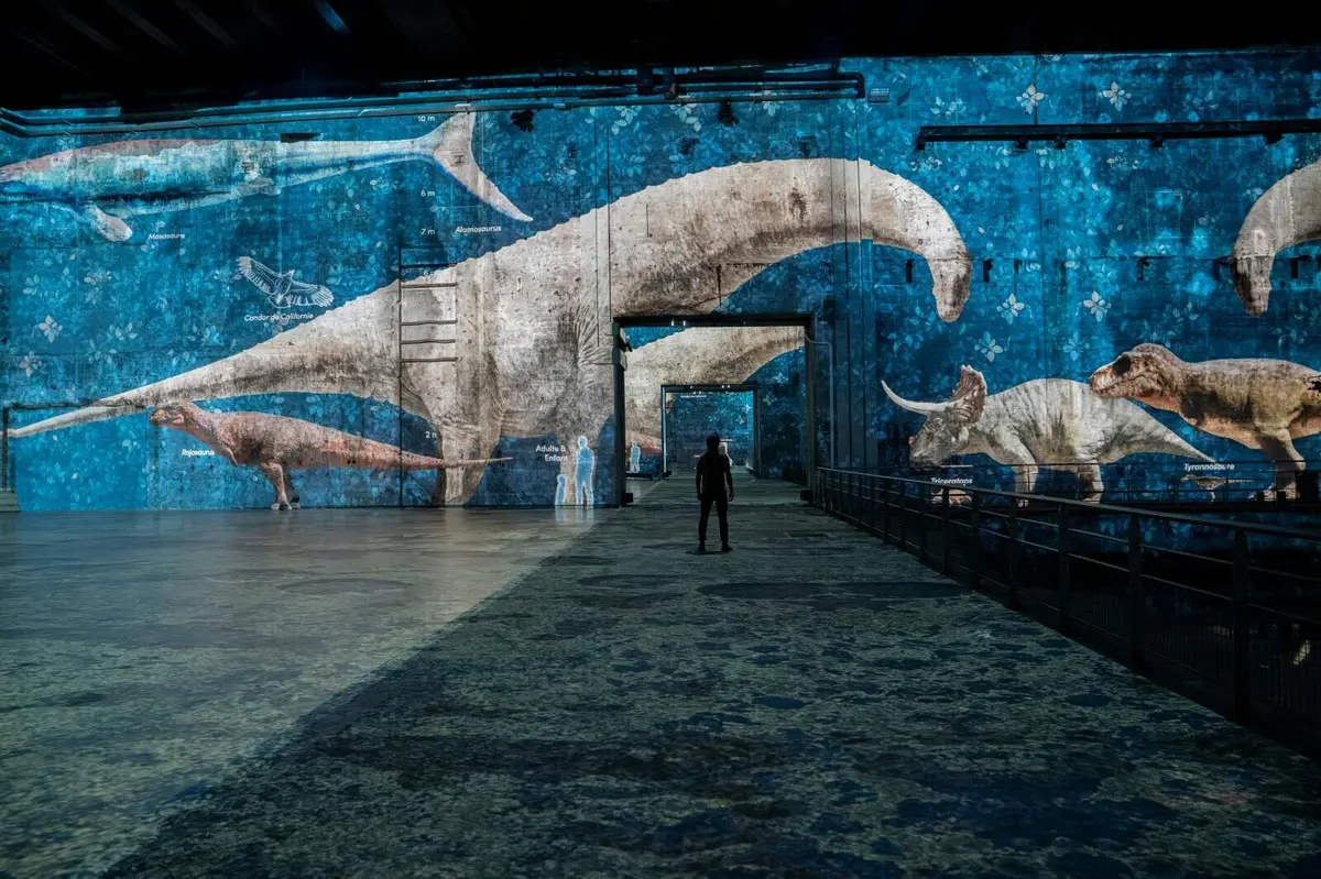 Une personne se tient dans un espace d'exposition immersif où de grandes illustrations de dinosaures sont projetées sur des murs bleus.