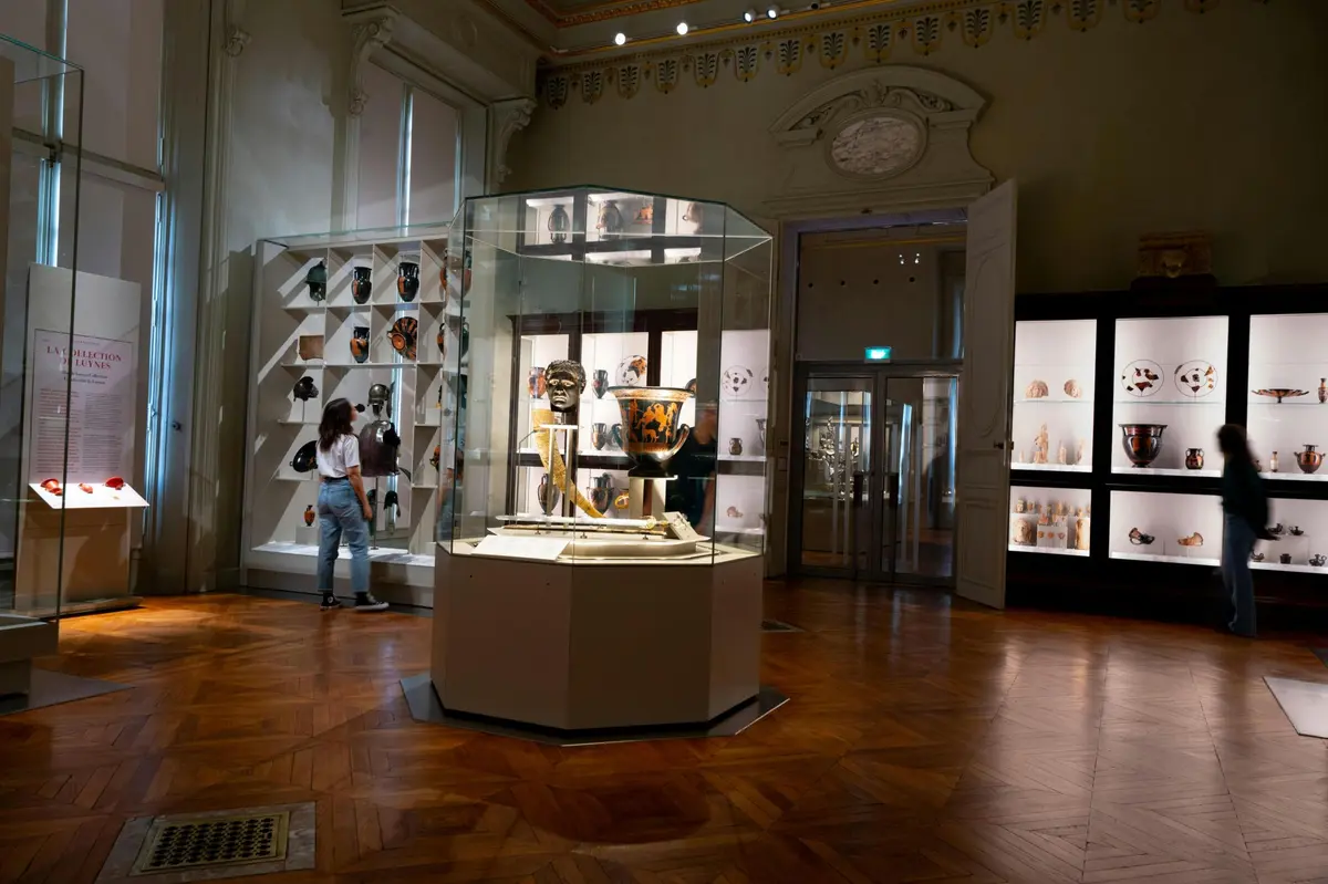 Galerie de musée avec des objets classiques exposés dans des vitrines et des étagères, un visiteur observant les objets exposés.