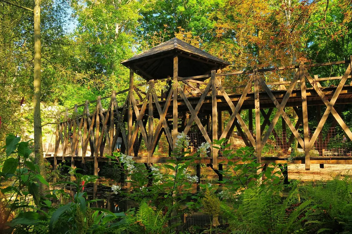 Pavillon et pont en bois entourés de verdure luxuriante et de plantes à fleurs dans une zone forestière.