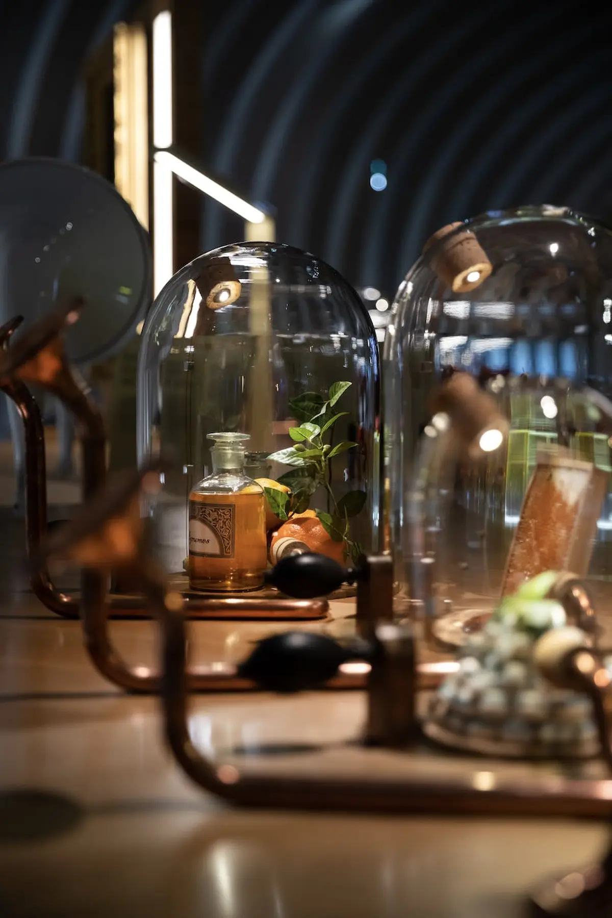 Un présentoir décoratif avec des dômes en verre entourant une petite plante, une bouteille et d'autres objets sur une surface réfléchissante.