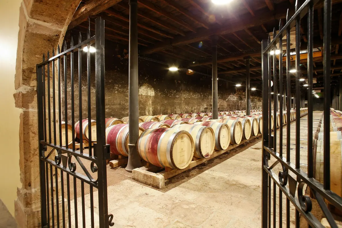 Des rangées de tonneaux de vin en bois entreposés dans une cave faiblement éclairée avec des portes métalliques et des piliers de soutien.