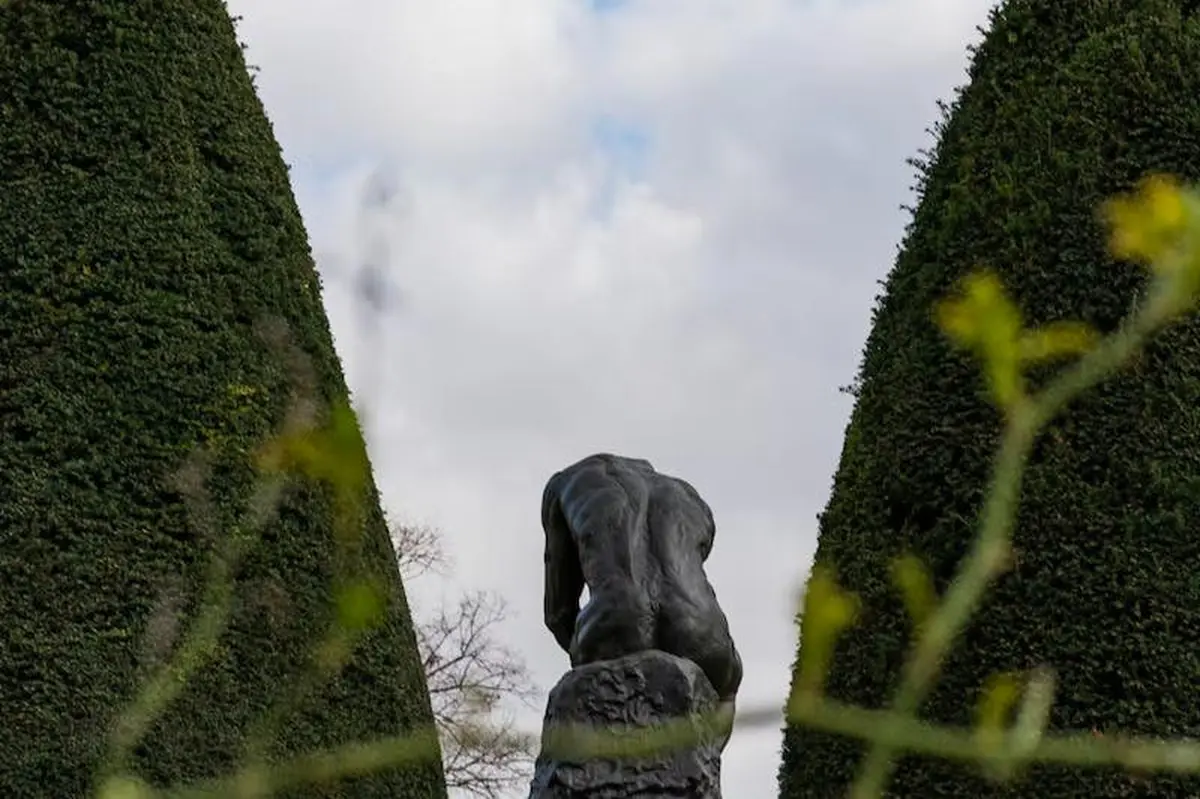 Musée Rodin : Carte de membre