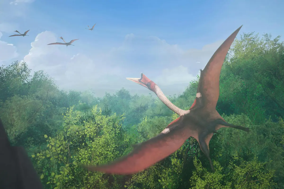 Le Crétacé, il y a 67 millions d'années