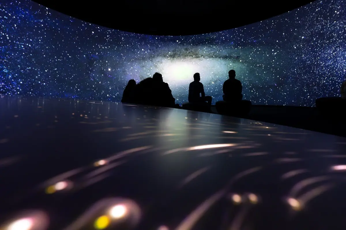 An immersive journey into champagne