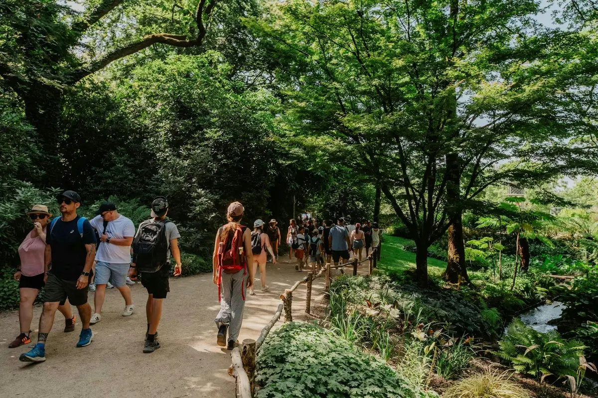 Des personnes se promenant sur un chemin de terre bordé d'arbres dans un parc, par une journée ensoleillée.