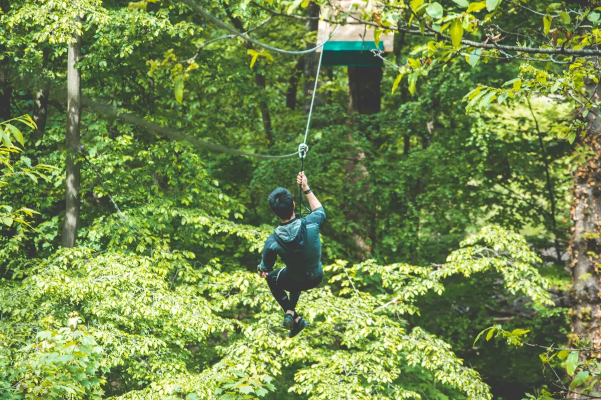 La personne fait de la tyrolienne dans une forêt dense, entourée d'un feuillage vert luxuriant.
