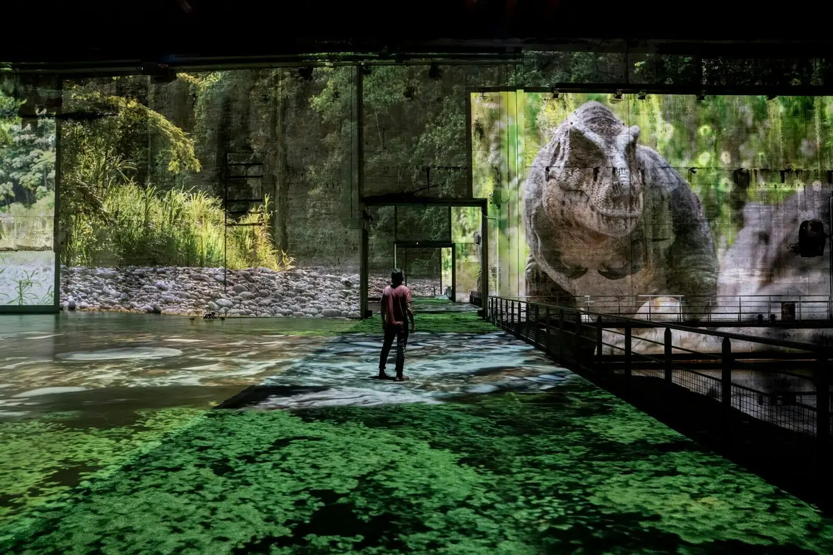 Une personne se tient debout au milieu d'une installation d'art numérique sur laquelle sont projetées des images d'un tyrannosaure rex et d'un environnement forestier luxuriant.
