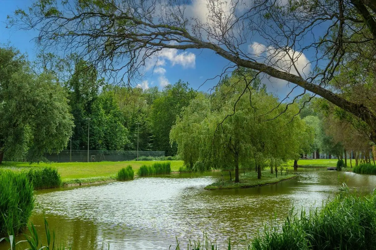 Un parc paisible avec un étang entouré d'arbres verdoyants et d'herbe luxuriante, sous un ciel partiellement nuageux.