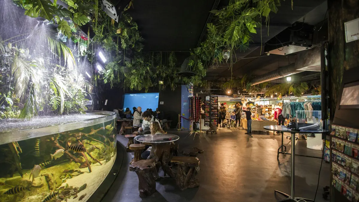 Scène d'intérieur avec des personnes assises à des tables rustiques près d'un grand aquarium, entouré de plantes suspendues et d'une boutique de souvenirs.