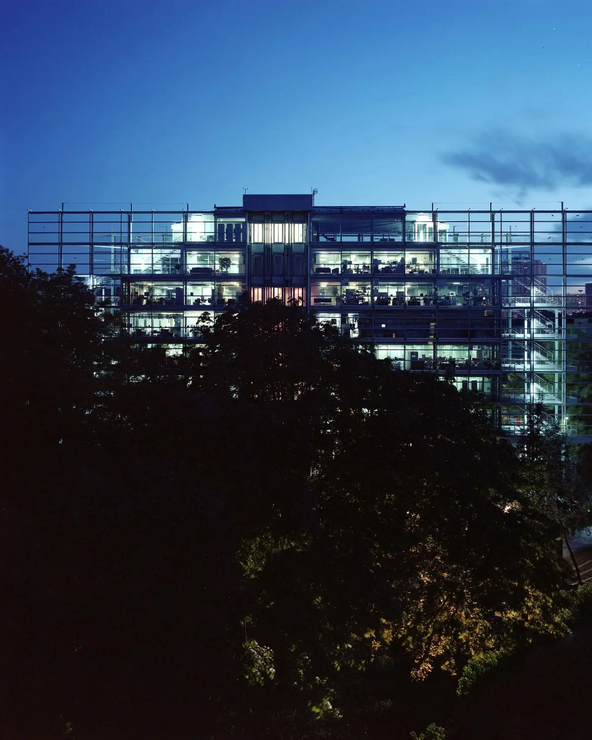 Un immeuble de bureaux en verre éclairé au crépuscule, entouré d'arbres, avec des bureaux et des travailleurs visibles à l'intérieur.