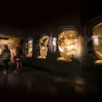 Des visiteurs observent des objets exposés dans des cadres en forme de silhouette sur le mur d'un musée faiblement éclairé. &copy; © Dan Courtice