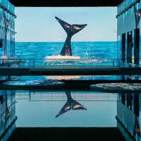 Un grand écran montre une queue de baleine éclaboussant l'océan, qui se reflète dans un jeu d'eau calme à l'intérieur, avec des lumières de chaque côté. &copy; © Cultuirespaces