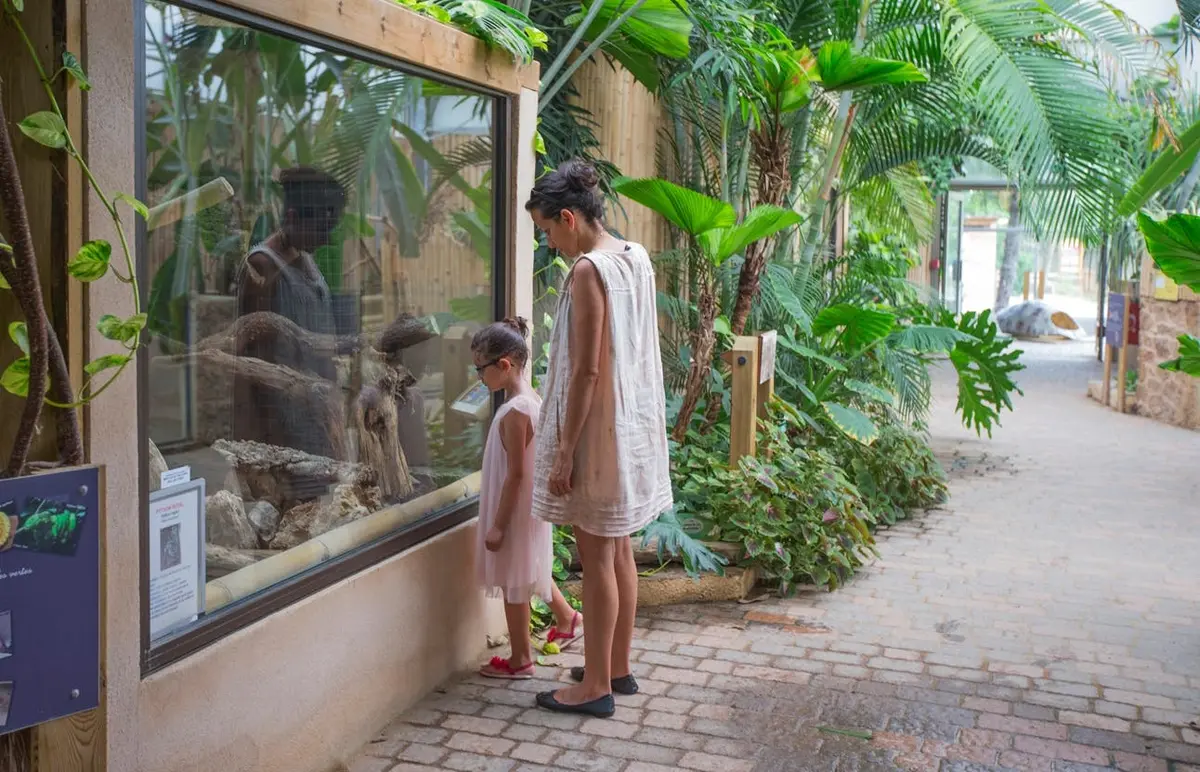 Une femme et un enfant se tiennent devant un enclos de verre dans un zoo ou un jardin botanique, observant les plantes et les animaux à l'intérieur.