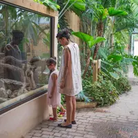 Une femme et un enfant se tiennent devant un enclos de verre dans un zoo ou un jardin botanique, observant les plantes et les animaux à l'intérieur. DR