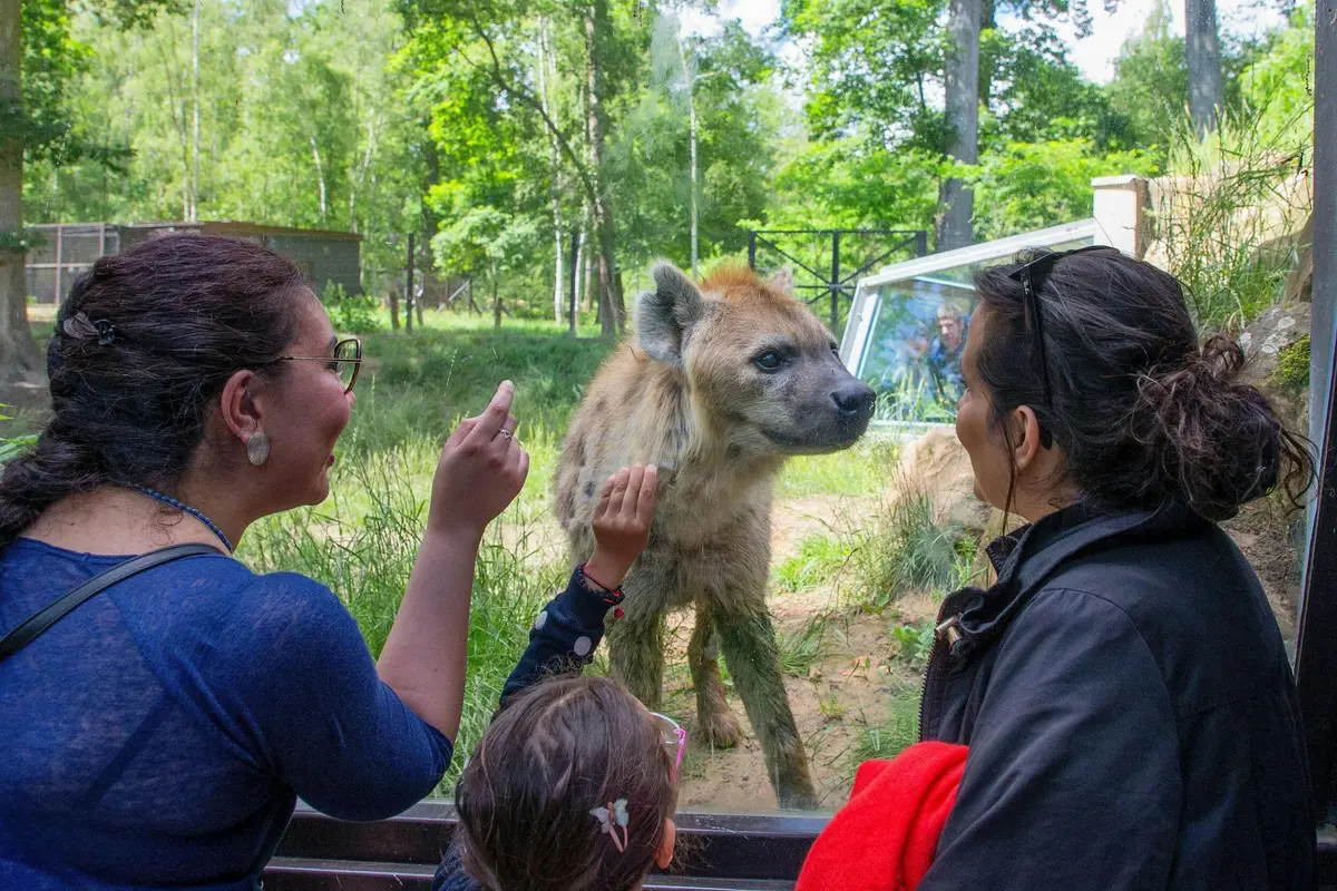 Safari Thoiry : Billet d'entrée